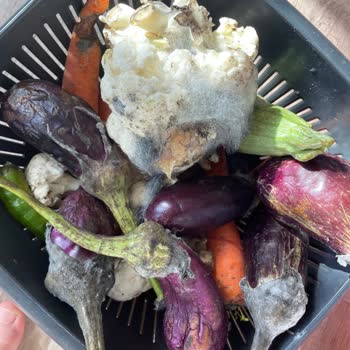 Vestel Kusurlu Ürün Satışı Ve Ürün Değişmiş Yapmaması