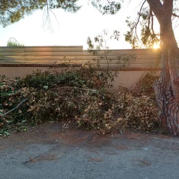Kartal Belediyesi Temizlenmesi Acilen Gerekli Çöpler