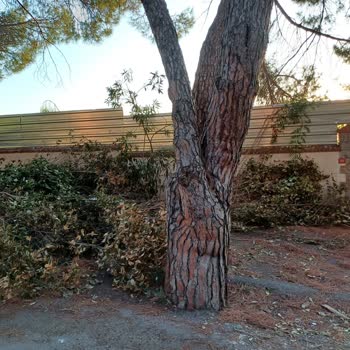 Kartal Belediyesi Temizlenmesi Acilen Gerekli Çöpler