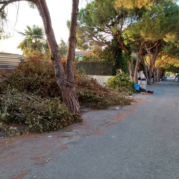 Kartal Belediyesi Temizlenmesi Acilen Gerekli Çöpler
