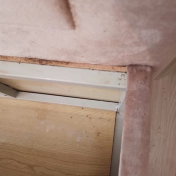 İstikbal Yatak, Baza Ve Başlıkta Tahta Kurusu Var.