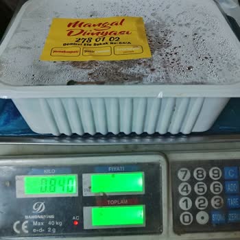 Mangal Dünyası Ve Yemek Sepeti Siparişi