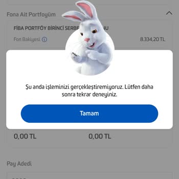Fibabanka'nın Fon İşlemlerindeki Sorunlar Ve Müşteri Hizmetleri Eksiklikleri