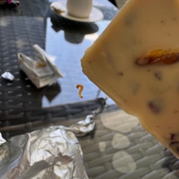 Nestle Aldığım Çikolatadan Canlı Kurtçuk Çıktı!