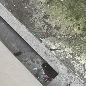 Zeytinburnu Belediyesi Zeytinburnu Hayvan Barınağı