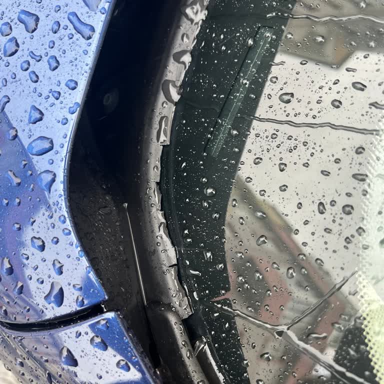BMW F30 Kronik Ön Cam Fitili Sorunu