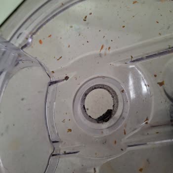 Stilevs Blender Seti. Plastik Parçalar Eridi