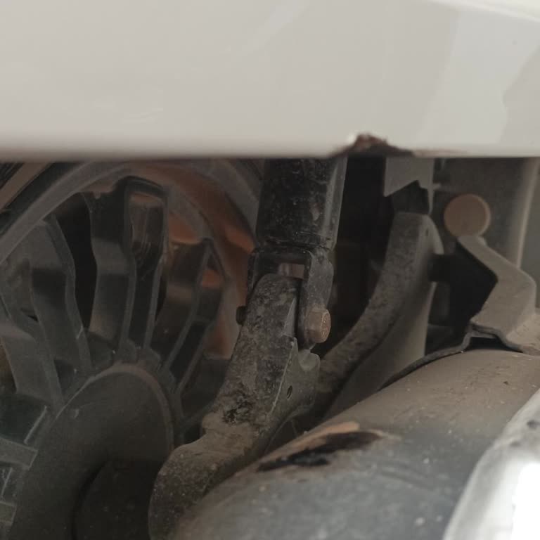 Falcon Markası Tamamen Pişmanlıktır