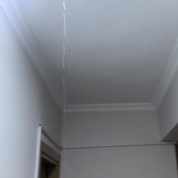 Palmera Resort Hotel Gece Yarısı Su Baskını Ve İlgisizlik