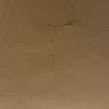 Palmera Resort Hotel Gece Yarısı Su Baskını Ve İlgisizlik