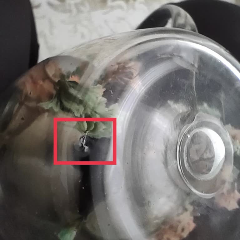 Kupa Dünyam'dan Aldığım Kusurlu Ürün İçin Yanıt Alamıyorum!