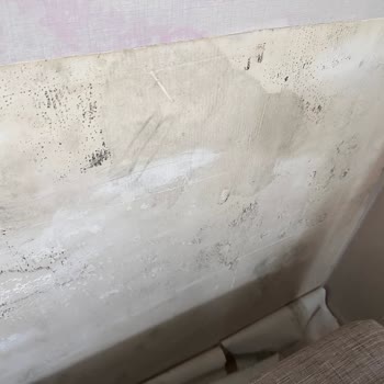 YP İnşaat 5 Yıldır Bitmeyen Sorunlar Ve Nem Problemleri