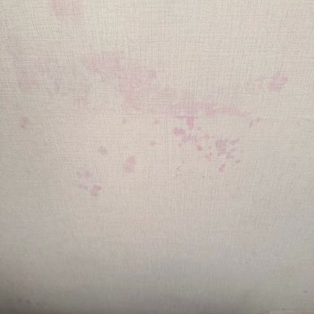 YP İnşaat 5 Yıldır Bitmeyen Sorunlar Ve Nem Problemleri