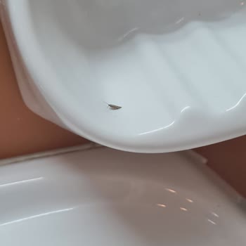 İstyatur İle Arkadaşımla Gittiğim Klasik İtalya Turu