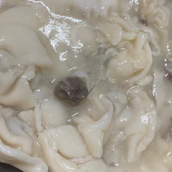 File Market Özbek Mantıda Sivri Metal Parçası