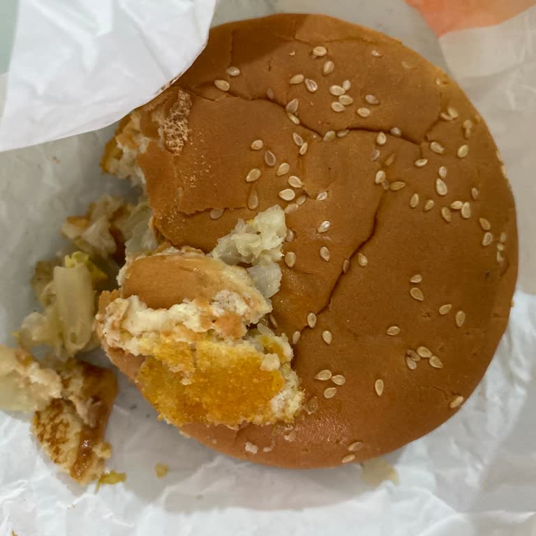 Burger King Tavuk Burger Mazot Kokuyor