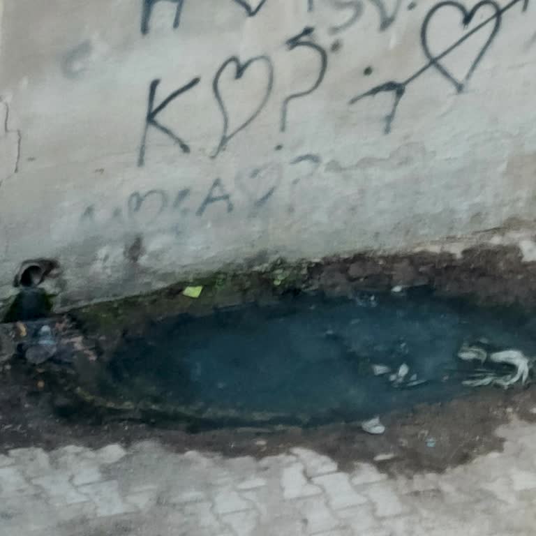 Edremit Belediyesi Sokağa Akan Gider Zabıtaların İlgisizliği!