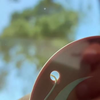 Ziebart Ve Gaziemir Bayisi Beni Mağdur Etti