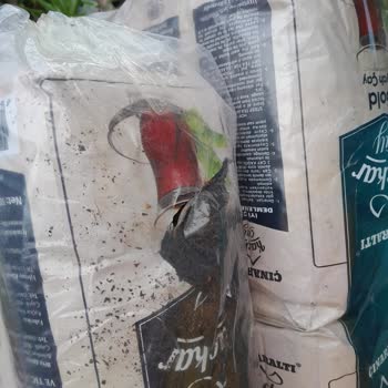 Sahil Seyahat Değersiz Görülen Eşya