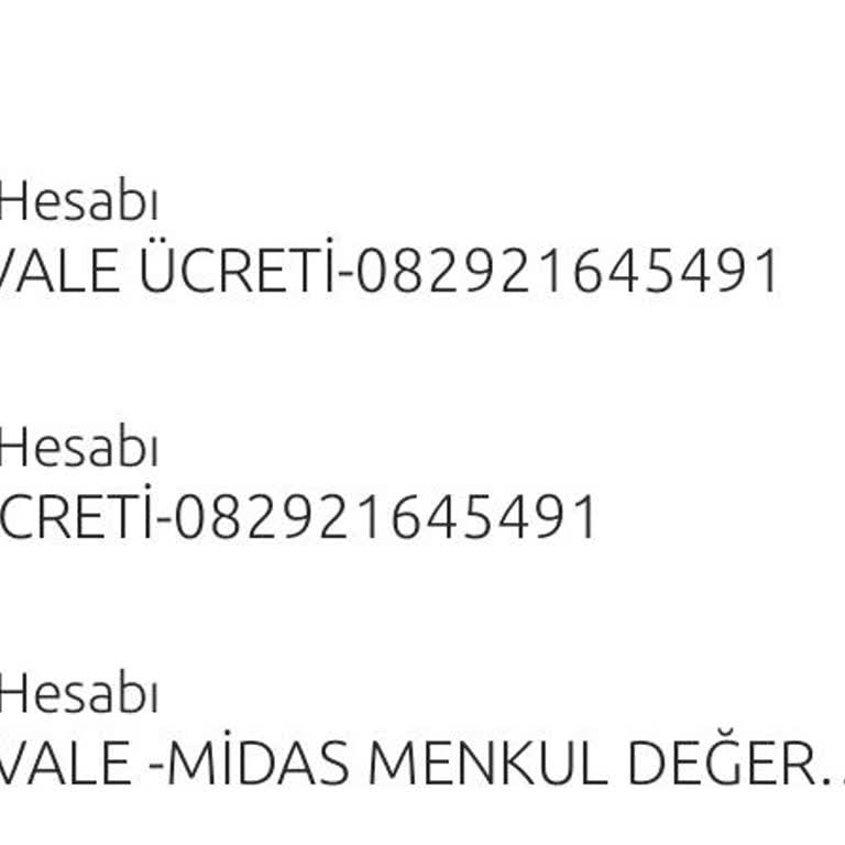 Resmen Benim Paramı Midas Çaldı