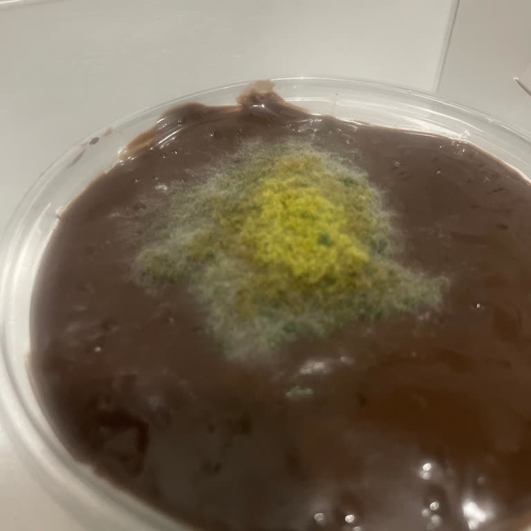 Has Fırın Safranbolu Maltepe Küflü Supangle