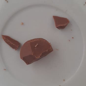 Ülker İn Geri Dönmemesi