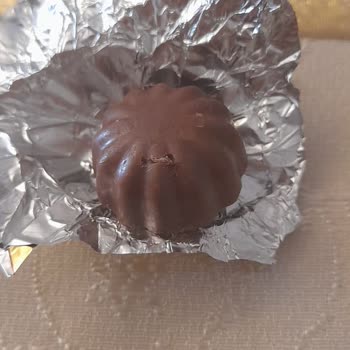 Ülker İn Geri Dönmemesi