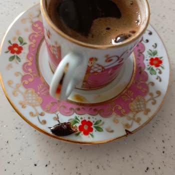 Tchibo Türk Kahvesi Böcek Çıktı