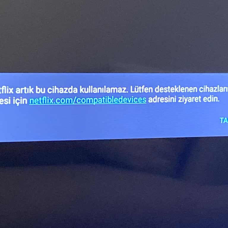 Yeni Onvo Marka TV Netflix'i Açmıyor