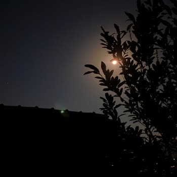 Xiaomi Kamerada Gece Modu