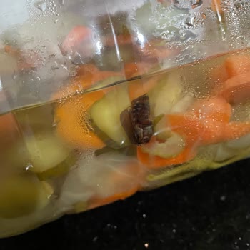 Aysan Turşu Karışık Turşu Paketinde Beklenmedik Misafir