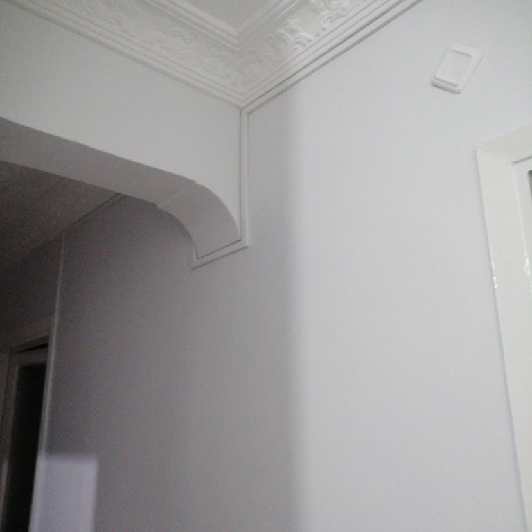 Dyo Boya Renk Farklılığı Sorunu