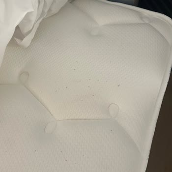 Swissotel Çeşme Tahta Kurusu