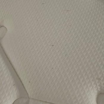 Swissotel Çeşme Tahta Kurusu