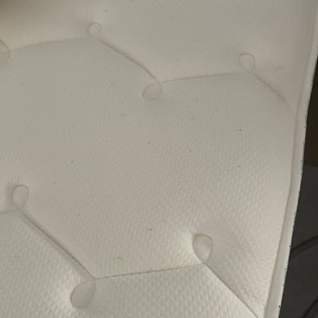 Swissotel Çeşme Tahta Kurusu