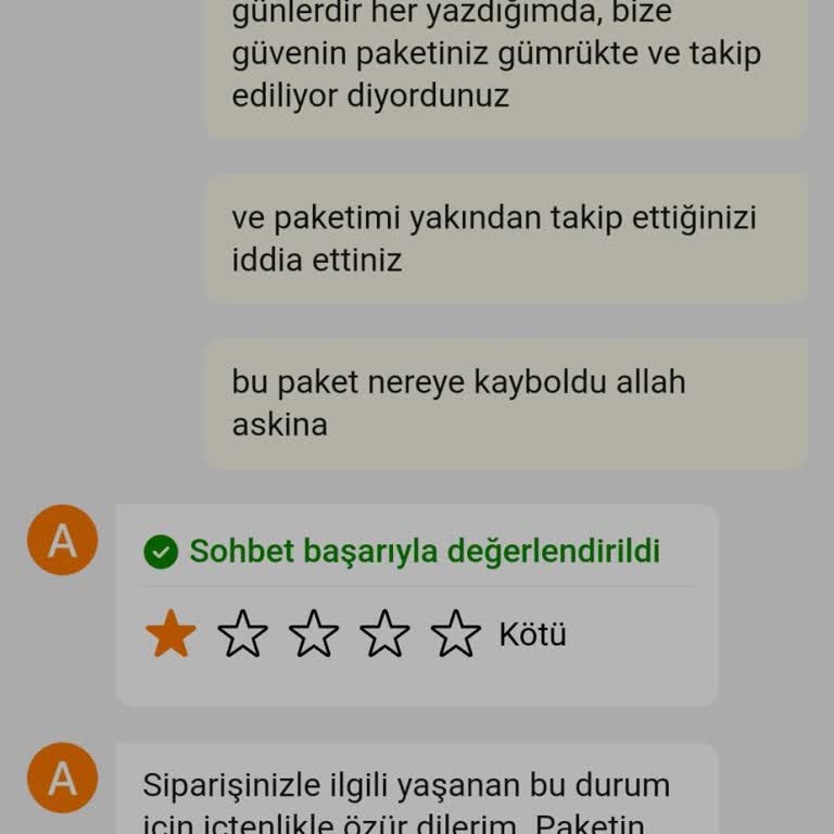 Temu Kayıp Paket Sorunu