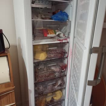 Arçelik Derin Dondurucu Mağduriyeti: Bozulan Gıdalar ve İlgisiz Servis