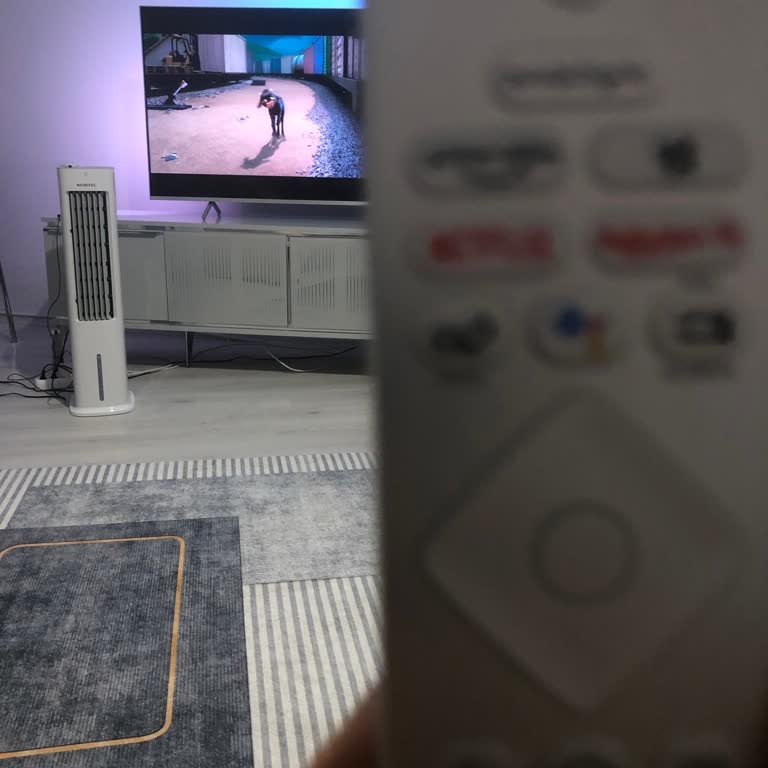 Philips TV Kumanda Yön Tuşları