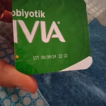 Danone Tikveşli Erken Küflenmiş Yoğurt