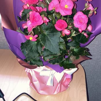 Taze Çiçek (tazecicek.com) Taze Çiçekte Satılan Üründen Farklı Çiçek Gönderiliyor