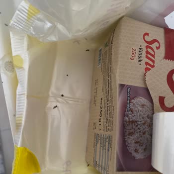 Sana Margarinde Karıncalar