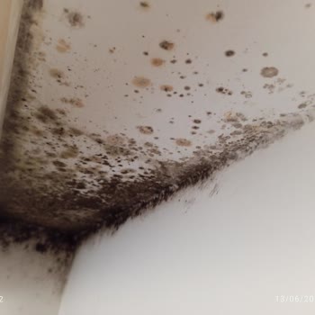 Türkiye Sigorta 5 Aydır Yaz Geçti Klimamı Çalıştıramadım