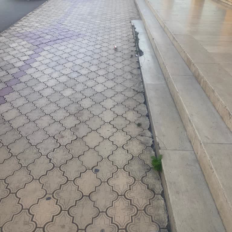 Sefa Çeyiz Şikayetçiyim Belediye Çalışanlarından