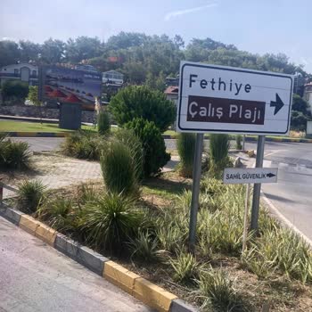 Jolly Tur'un Seçtiği Pis Otellerden Mantar Kaptım