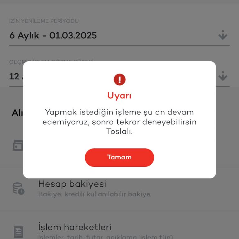 Garanti BBVA Banka Hesabı Tosla'ya Eklenmiyor?