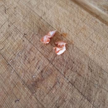 Ahmet İpek İnsanların Sağlığını Hiçe Sayıyor