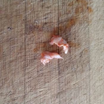 Ahmet İpek İnsanların Sağlığını Hiçe Sayıyor