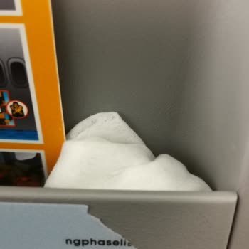 Pegasus Uçuşunda Hijyen Sorunu Ve Sağlık Riski