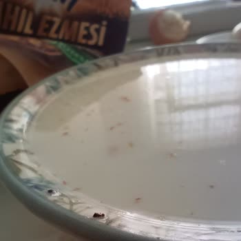 Eti Gıda Eti Lifalif İçinden Karıncalar Çıkıyor!