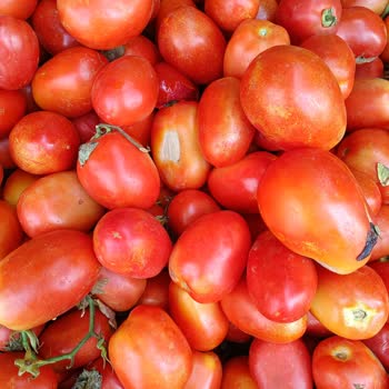 Beykoz Mopaş Halk Gününde Hayal Kırıklığı